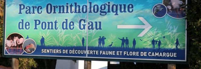 PONT DE GAU - JANVIER 2020 (1/4)