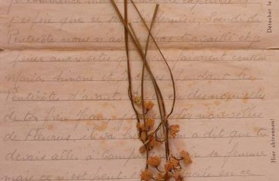 Du muguet envoyé par papa à maman en mai 44.