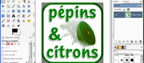 [tuto GIMP 2.8] Modifier la taille d'une image