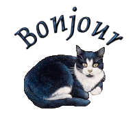 Le p'tit bout de la queue du chat