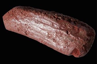 Le plus vieux crayon du monde ?