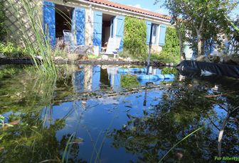 defi reflets d'Annie