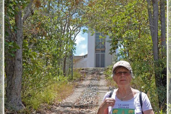 Randonnée vers l'ancien phare de l'île Fitzroy : la descente - Australie