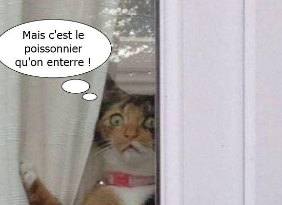 C'est pas possible .....