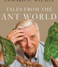 [download pdf] Tales from the Ant World