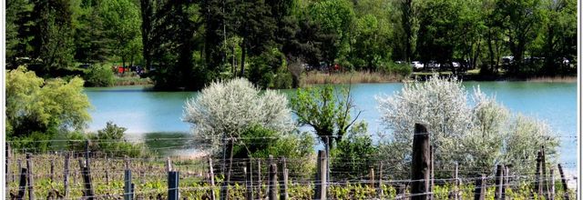 01 /05 /22  LAC DE St ANDRÉ  SUITE