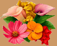 Extraits du livre : Apprendre à faire silence (1)