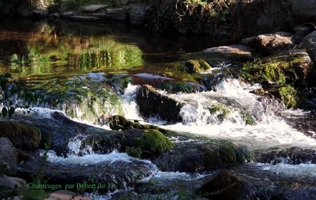 un torrent à Chanteuges