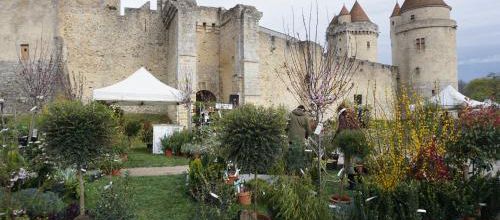 Blandy les Tours 2023 : le bonheur des jardiniers