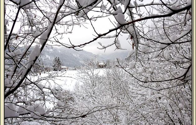 Paysages des Pyrénées (Année 2010)