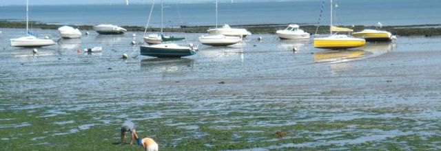 Parole de connaisseur