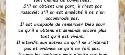 PETITE INFO
