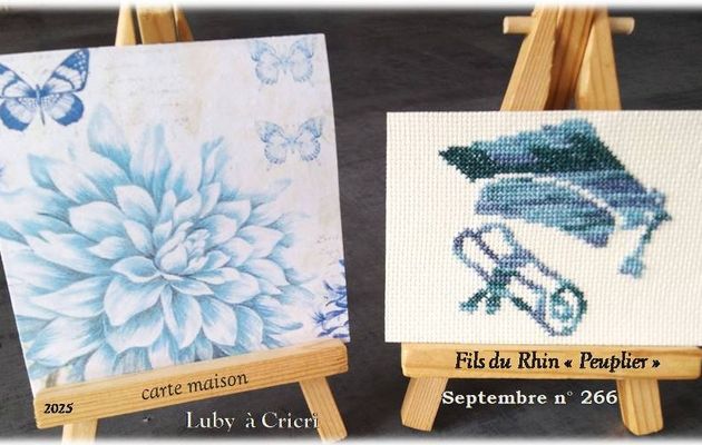 ATC Monochrome *9/12 avec ma Cricri