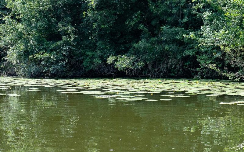 La Truchère ... pour un bon bol d'air (2 et fin)