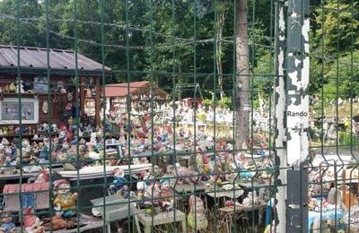 Les brèves du 20 juin....