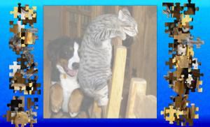 Oceandesjeux - Friendly pets puzzle