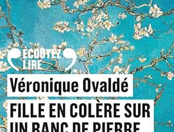 Fille en colère sur un banc de pierre de Véronique Ovaldé