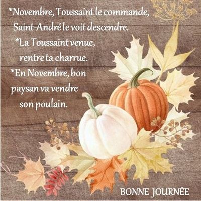 Dictons * Fête Marcien * grille prénom !