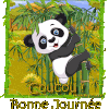 Abécédaire Panda !  + cartonnettes 2025