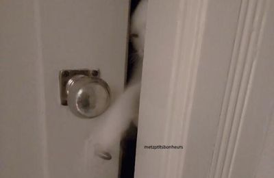 Mais koikesse donc?...