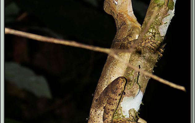 Images du Costa Rica transférées depuis mon ancien blog