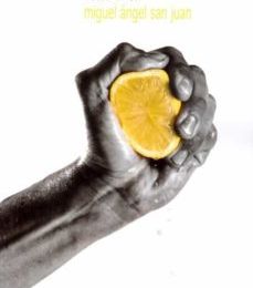 Descargar [PDF] {EPUB} DULCE LIMON