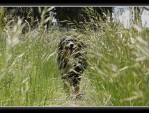 Bouge pas, j'arrive !