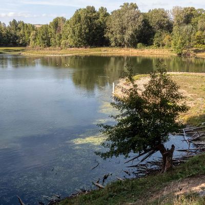 L'Ecopôle du Val d'Allier (Quelques images)