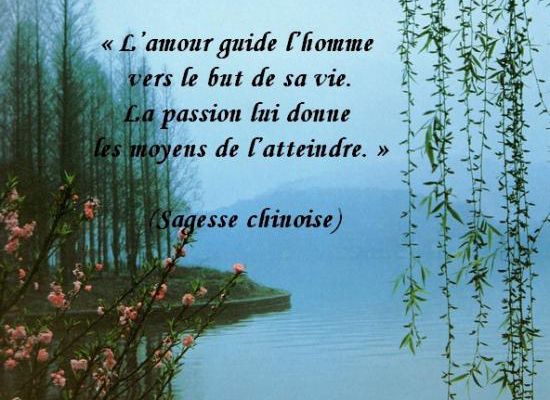 Citations en images : L\'amour