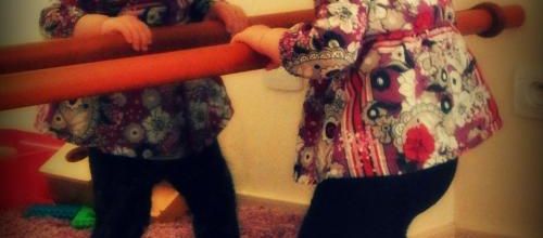 Barre de brachiation