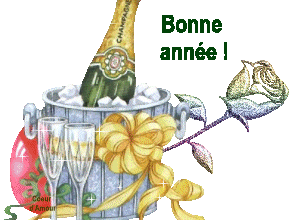 Très Bonne Année à tous et toutes