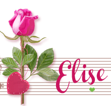 signatureanimee,musique