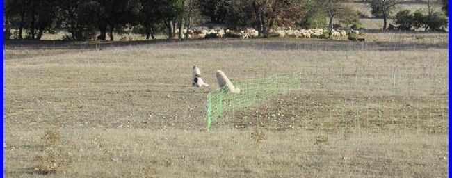 La 1ère de l'année 2018, le Pic des Mouches