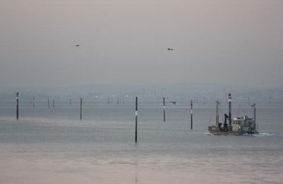 Le chenal au petit matin...