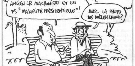 Ils sont nombreux