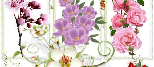 CREA FLEURS