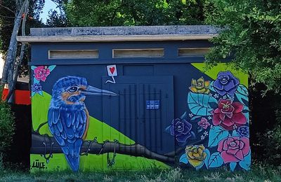 EB - Street-art dans la ville : le martin-pêcheur...