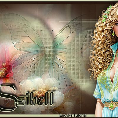 Szibell