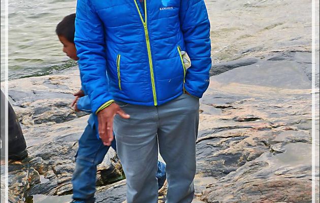 Dépeçage d'un phoque du Groenland - Kullorsuaq - Groenland