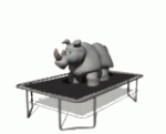 Acrostiche N°9: rhinocéros