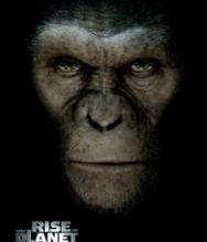 Critique: La Planète des singes : les origines
