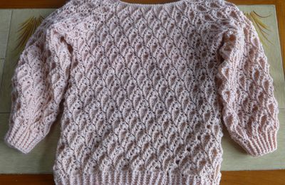 EB - Pull en motifs feuilles...