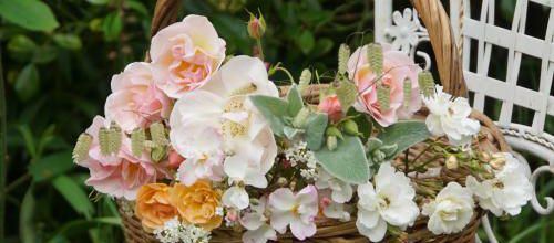 un bouquet en panier