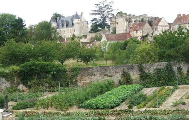 MONTRESOR suite...