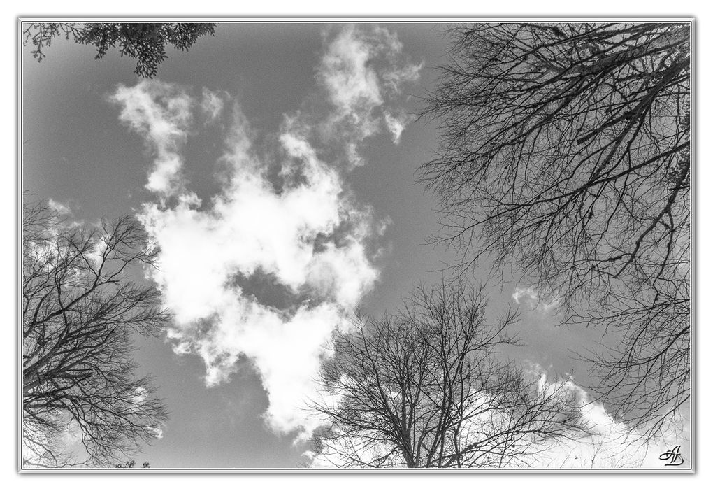 05 - Paysages