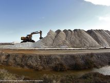 Salins de Gruissan