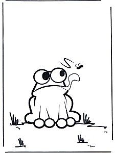 Grenouilles du printemps