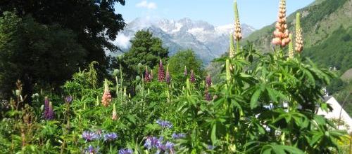 Blog tout neuf