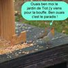 Humour pour tous en ce dimanche frileux. 