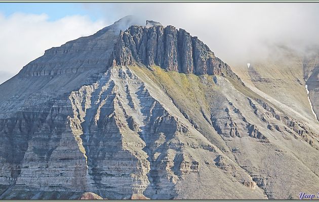 Île Coraholmen avec des oies et un oison visible et en arrière plan l'île Spitzberg avec son massif Kapitol (Capitole) - Fjord Ekmanfjorden - Svalbard - Norvège